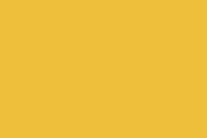 0134 BS Żółty