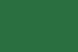 9561 BS Zielony Oxid