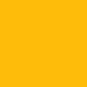 U114 ST9 Żółty jaskrawy